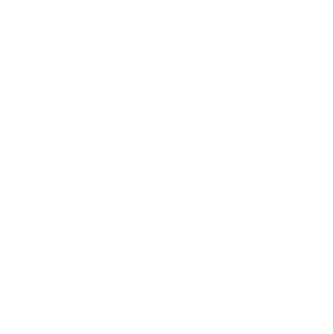 ikony WWD25-02